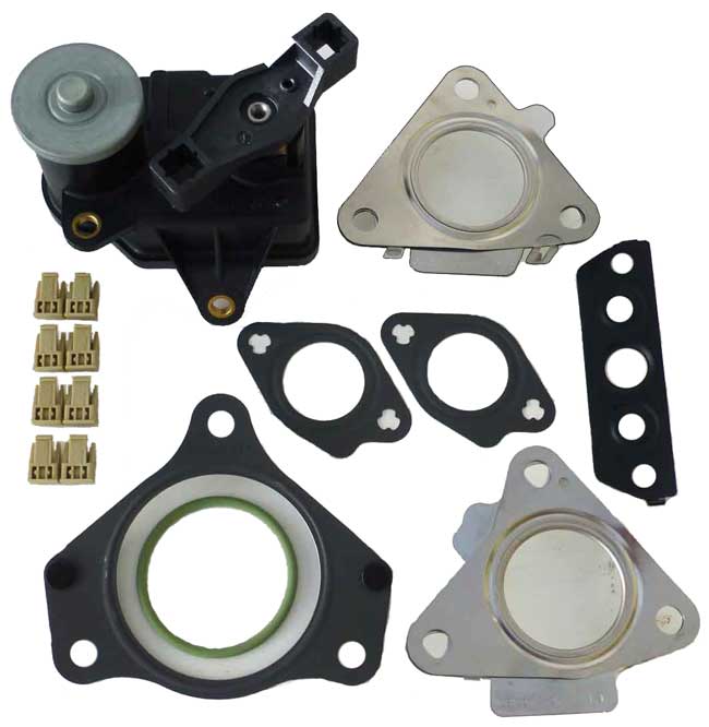 Swirl Motor Kit for the Chrysler 300C